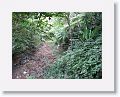 08-StLucia - 025
